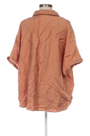 Γυναικείο πουκάμισο Emery rose, Μέγεθος 5XL, Χρώμα Καφέ, Τιμή 10,99 €