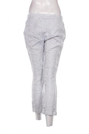 Damskie spodnie Creation L, Rozmiar L, Kolor Kolorowy, Cena 54,99 zł