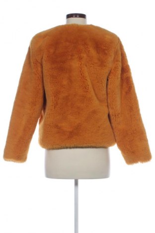 Damenmantel Tally Weijl, Größe S, Farbe Gelb, Preis € 38,31