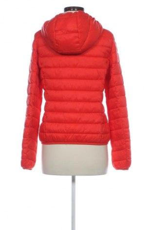 Damenjacke Review, Größe M, Farbe Rot, Preis € 19,99