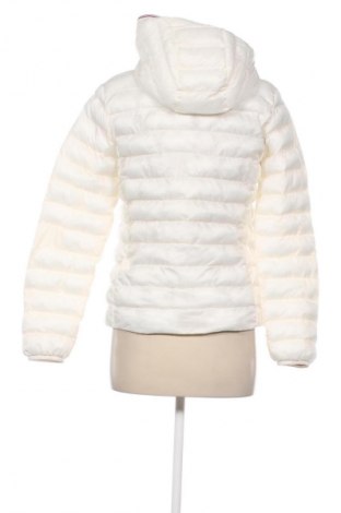 Damenjacke Tommy Hilfiger, Größe S, Farbe Weiß, Preis € 234,99