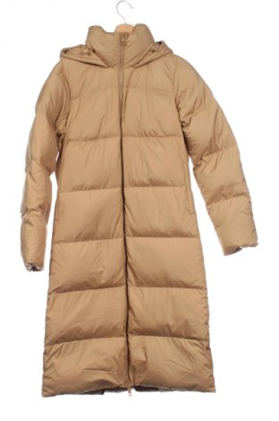 Damenjacke Tommy Hilfiger, Größe XS, Farbe Beige, Preis 289,99 €