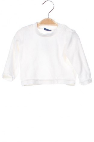 Kinder Shirt Lupilu, Größe 3-6m/ 62-68 cm, Farbe Ecru, Preis € 4,99
