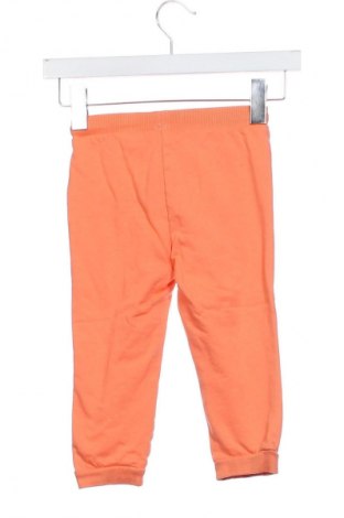 Dětské tepláky Pepco, Velikost 18-24m/ 86-98 cm, Barva Oranžová, Cena  129,00 Kč