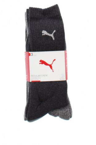 Σύνολο PUMA, Μέγεθος L, Χρώμα Πολύχρωμο, Τιμή 15,99 €
