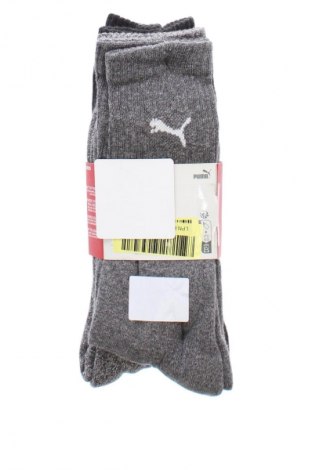 Σύνολο PUMA, Μέγεθος L, Χρώμα Πολύχρωμο, Τιμή 15,99 €