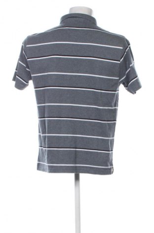Herren Shirt C&C, Größe XL, Farbe Mehrfarbig, Preis 13,99 €