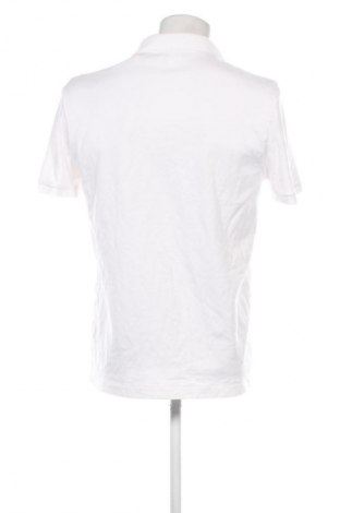 Herren T-Shirt Lacoste, Größe L, Farbe Weiß, Preis € 33,99