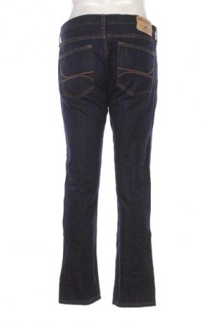 Ανδρικό τζίν Hollister, Μέγεθος L, Χρώμα Μπλέ, Τιμή 6,99 €