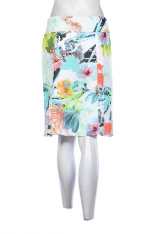 Fustă Betty Barclay, Mărime S, Culoare Multicolor, Preț 39,99 Lei