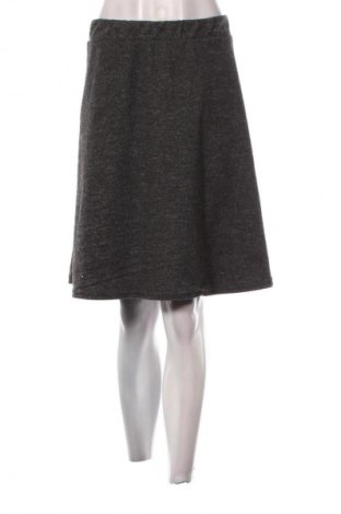 Fustă Janina, Mărime XL, Culoare Gri, Preț 13,99 Lei