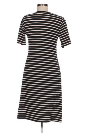 Šaty  Dorothy Perkins, Velikost M, Barva Vícebarevné, Cena  430,00 Kč