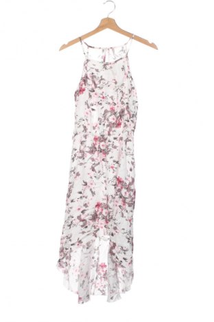 Kleid Laura Torelli, Größe XS, Farbe Mehrfarbig, Preis € 32,99