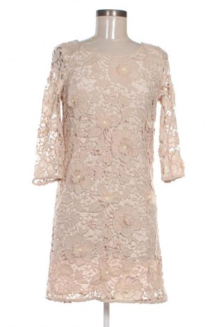 Kleid Next, Größe S, Farbe Beige, Preis 10,99 €