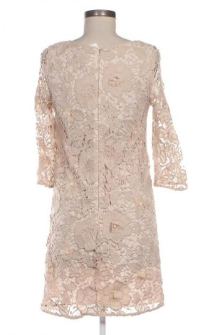 Kleid Next, Größe S, Farbe Beige, Preis 10,99 €