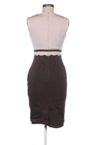 Rochie Phase Eight, Mărime M, Culoare Multicolor, Preț 267,99 Lei