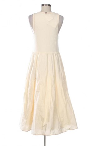 Kleid Tommy Hilfiger, Größe XL, Farbe Beige, Preis € 187,99