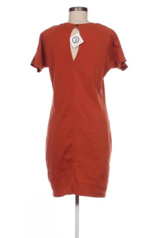 Sukienka Unbranded, Rozmiar L, Kolor Brązowy, Cena 24,99 zł