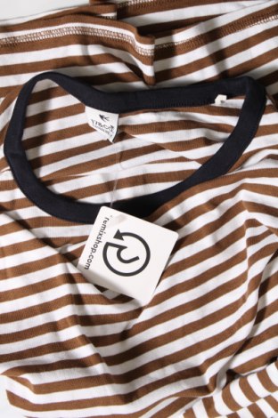 Damen Shirt 17 & Co., Größe S, Farbe Mehrfarbig, Preis € 4,63