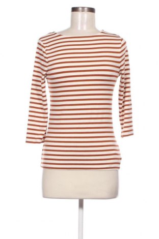 Γυναικεία μπλούζα A New Day, Μέγεθος XS, Χρώμα Πολύχρωμο, Τιμή 1,76 €