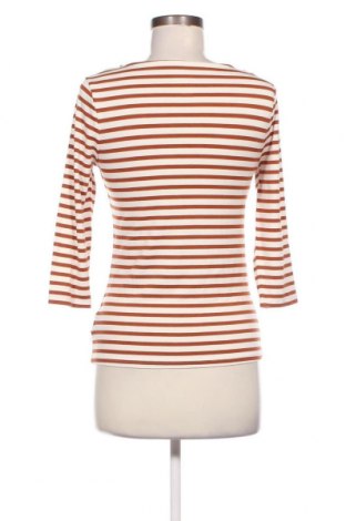 Γυναικεία μπλούζα A New Day, Μέγεθος XS, Χρώμα Πολύχρωμο, Τιμή 3,29 €