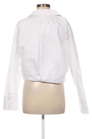 Damen Shirt Abercrombie & Fitch, Größe XL, Farbe Weiß, Preis 37,86 €