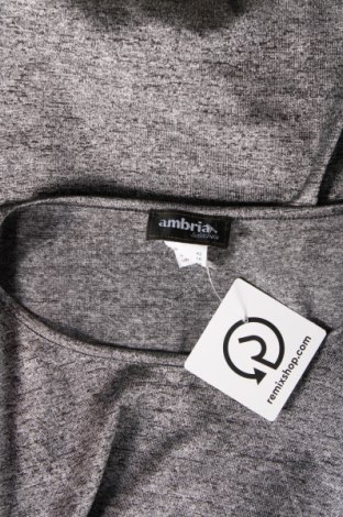 Γυναικεία μπλούζα Ambria, Μέγεθος L, Χρώμα Γκρί, Τιμή 3,88 €