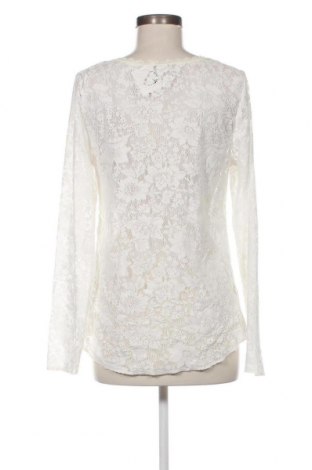 Damen Shirt American Rag, Größe XL, Farbe Weiß, Preis 3,89 €