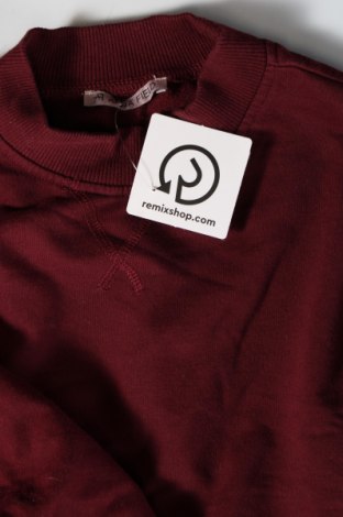 Damen Shirt Anna Field, Größe L, Farbe Rot, Preis € 13,22