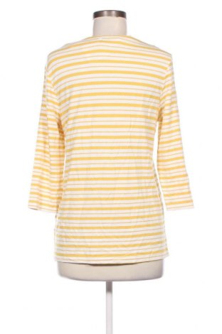 Γυναικεία μπλούζα Bexleys, Μέγεθος S, Χρώμα Πολύχρωμο, Τιμή 3,95 €