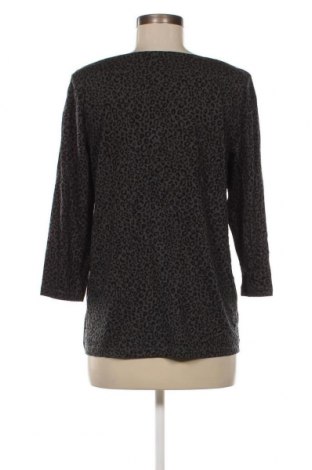 Γυναικεία μπλούζα Bonita, Μέγεθος M, Χρώμα Γκρί, Τιμή 4,23 €