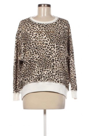 Γυναικεία μπλούζα CATNOIR, Μέγεθος M, Χρώμα Πολύχρωμο, Τιμή 5,34 €