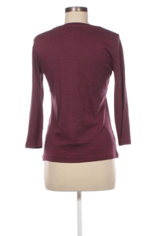 Γυναικεία μπλούζα Canda, Μέγεθος S, Χρώμα Βιολετί, Τιμή 3,88 €