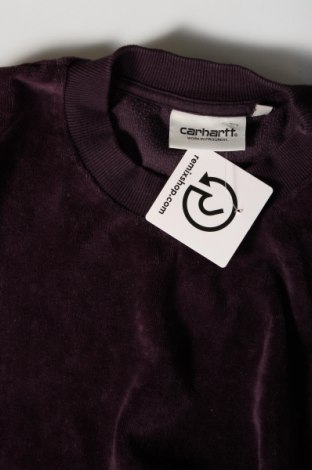 Damen Shirt Carhartt, Größe L, Farbe Lila, Preis 40,99 €