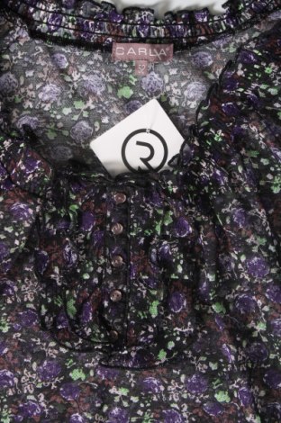 Γυναικεία μπλούζα Carla, Μέγεθος 3XL, Χρώμα Πολύχρωμο, Τιμή 3,23 €