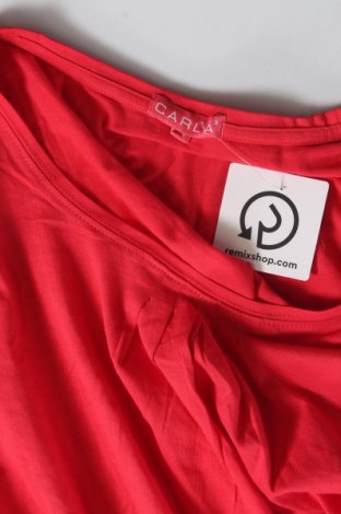 Γυναικεία μπλούζα Carla, Μέγεθος XL, Χρώμα Κόκκινο, Τιμή 3,05 €