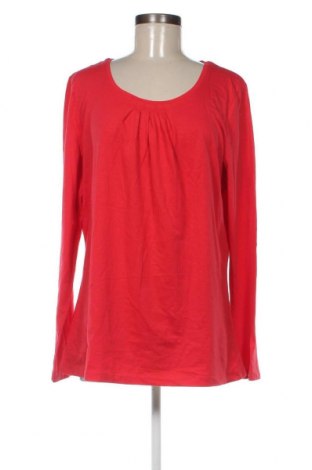 Damen Shirt Carla, Größe XL, Farbe Rot, Preis 3,43 €