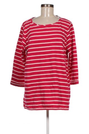 Γυναικεία μπλούζα Cecil, Μέγεθος XXL, Χρώμα Πολύχρωμο, Τιμή 14,17 €