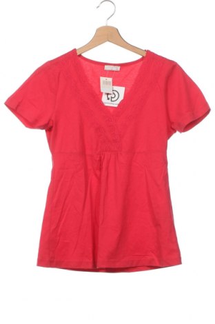 Γυναικεία μπλούζα Cheer, Μέγεθος XS, Χρώμα Ρόζ , Τιμή 7,90 €