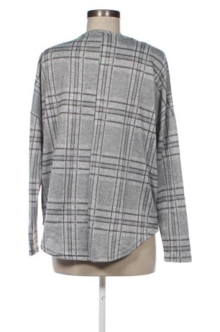 Damen Shirt Chicoree, Größe L, Farbe Grau, Preis € 2,64