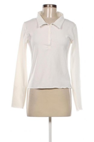Damen Shirt Chicoree, Größe L, Farbe Schwarz, Preis 3,44 €