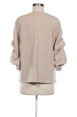 Damen Shirt Chicoree, Größe M, Farbe Mehrfarbig, Preis 3,97 €
