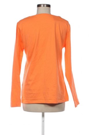 Γυναικεία μπλούζα Chris Line, Μέγεθος XXL, Χρώμα Πορτοκαλί, Τιμή 10,69 €