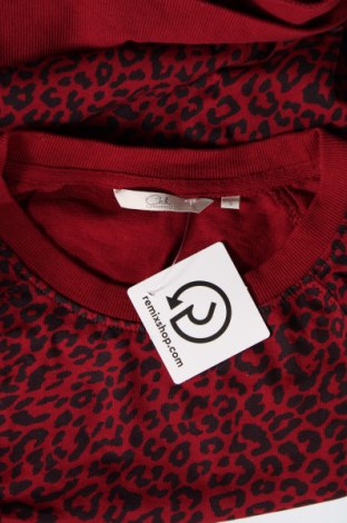 Damen Shirt Clockhouse, Größe S, Farbe Rot, Preis € 1,98