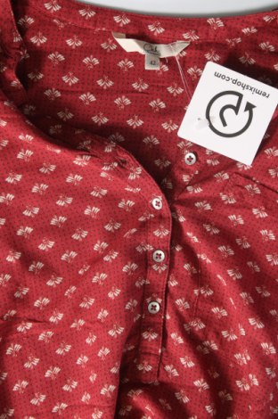 Damen Shirt Clockhouse, Größe M, Farbe Mehrfarbig, Preis 1,98 €