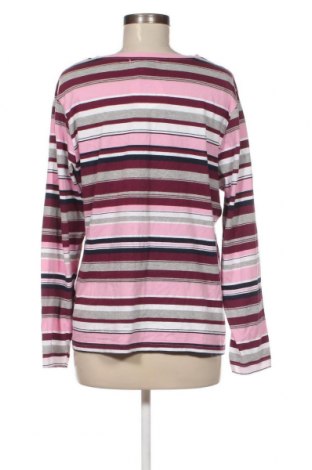 Damen Shirt Collection L, Größe L, Farbe Mehrfarbig, Preis 4,36 €