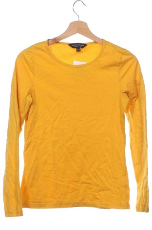 Damen Shirt Dorothy Perkins, Größe XS, Farbe Gelb, Preis € 3,34