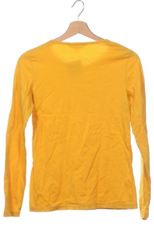 Damen Shirt Dorothy Perkins, Größe XS, Farbe Gelb, Preis 3,34 €