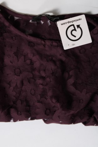Damen Shirt Dorothy Perkins, Größe S, Farbe Rot, Preis € 10,08