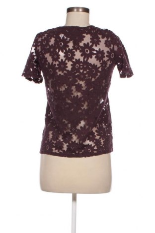 Damen Shirt Dorothy Perkins, Größe S, Farbe Rot, Preis 7,46 €